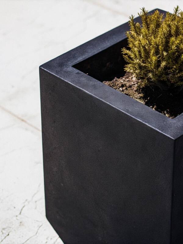Planters - Image 6